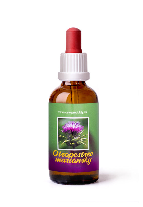 Ostropestrec mariánsky image 0