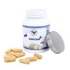 Hericium Plus image 1